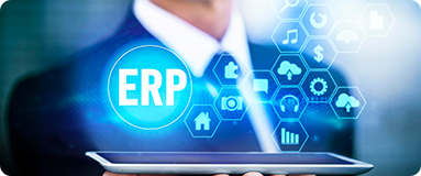 Custom ERP solutions