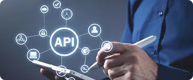 API integration services